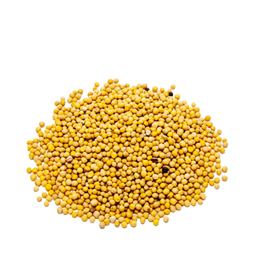 mustard-seed-yellow-100-gm-361.jpg