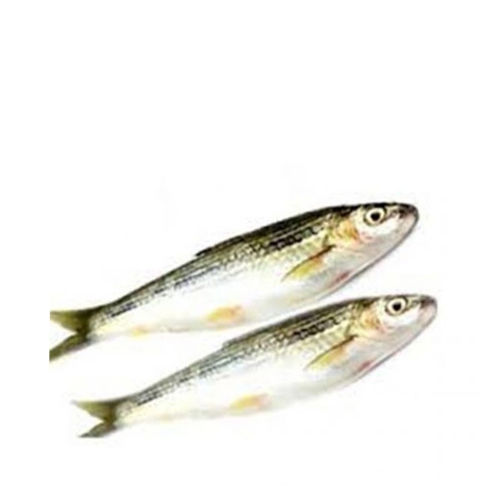 tatkini-fish-30-gm-500-gm-177.jpg